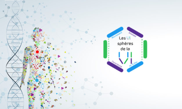 Les six sphères d’une santé optimale