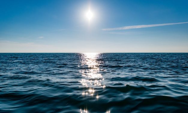 Chauffer votre eau à l’énergie solaire : plus accessible que vous pourriez le croire !