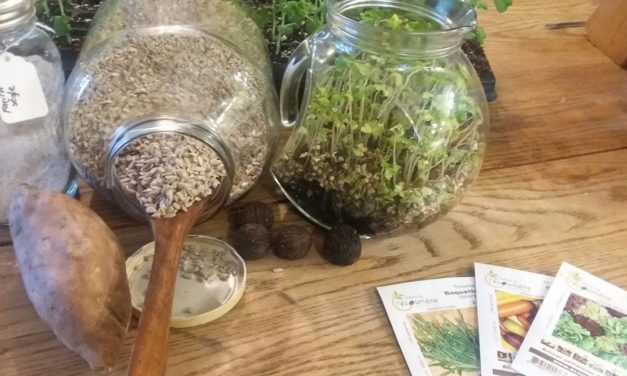 Parvenir à l’autonomie alimentaire au Québec !