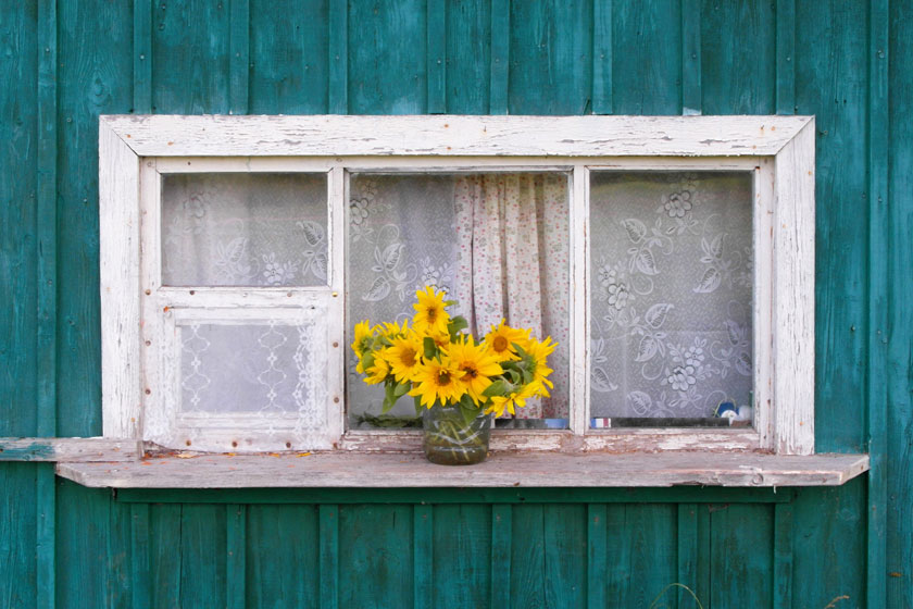 Habitat écologique : choisir une toiture écologique et des fenêtres durables