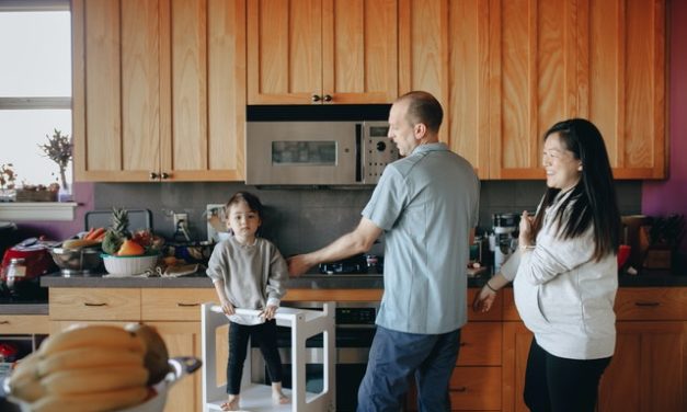 Les différences entre maison normale et maison écologique, saine et autonome