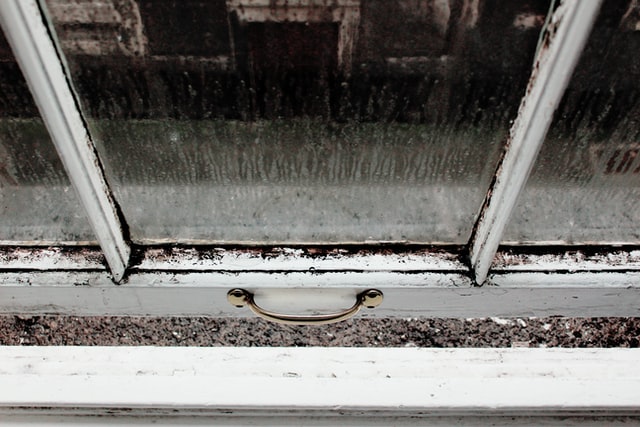 Les moisissures se développent facilement dans les cadres de fenêtres en bois à cause de la condensation